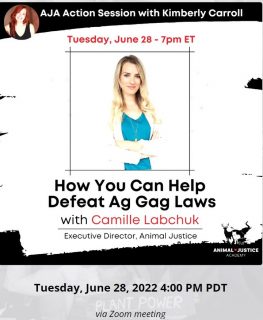 This online meeting is today at 4 pm Pacific time.